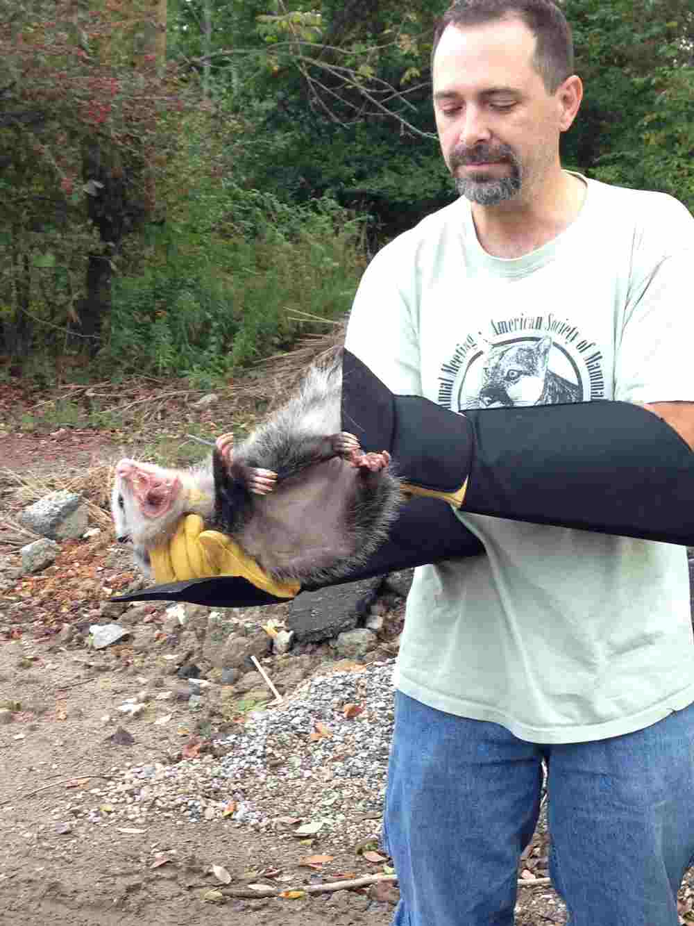 Faculty Spotlight: Joe Jacquot, Biology